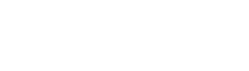 betbhai9 logo